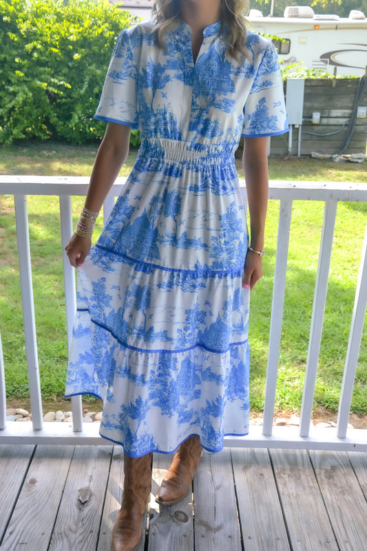 Blue “toile” DRESS